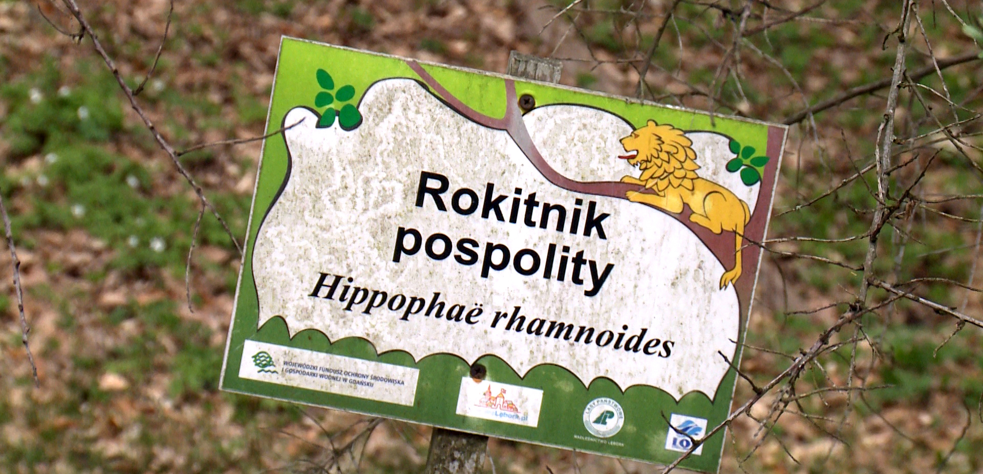 Odbierz bezpłatną sadzonkę