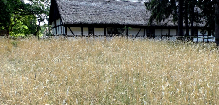 Pożegnanie lata w Klukach