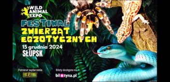 Festiwal zwierząt egzotycznych w hali Gryfia