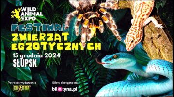 Festiwal zwierząt egzotycznych w hali Gryfia