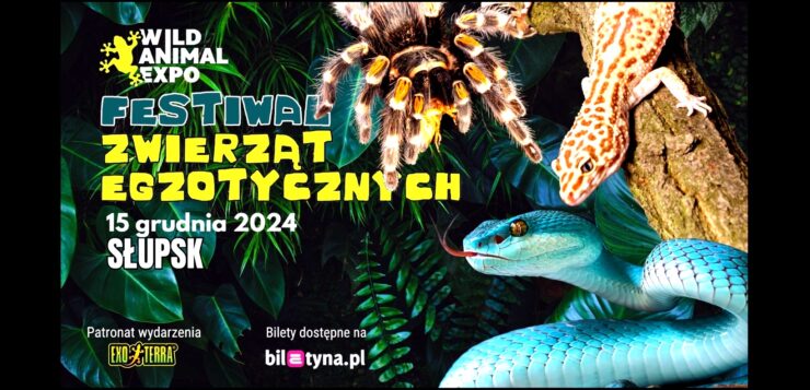 Festiwal zwierząt egzotycznych w hali Gryfia