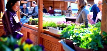 Jesienny Bazarek Natury w Krępie Słupskiej