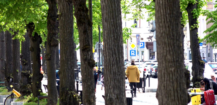 Od 1 listopada zmiany w ośrodkach zbiorowego zakwaterowania dla uchodźców z Ukrainy