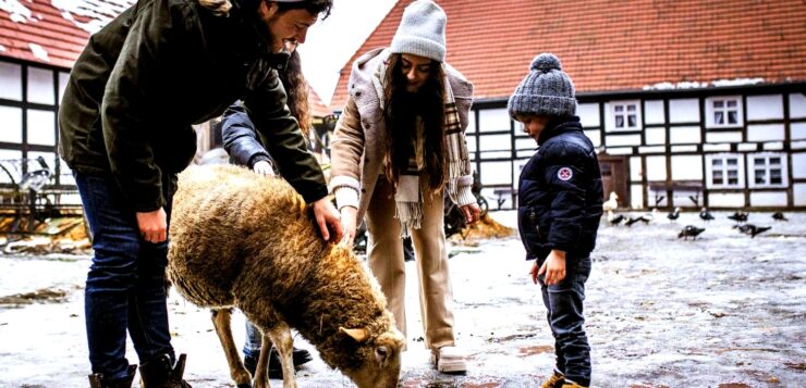 Rodzinny Mini Finał 34. WOŚP w Swołowie