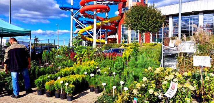 Targi Ogrodnicze Wiosna 2026 w Słupsku