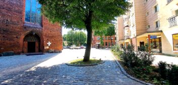 Festiwal Muzyki Organowej i Kameralnej na półmetku