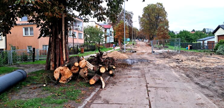 Przebudowa ulicy Sułkowskiego – wycinka drzew
